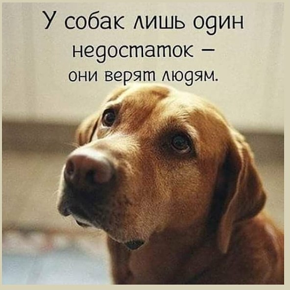  - 27  2018  17:47