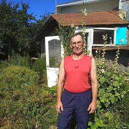 ������, �����, 65 ���