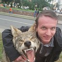 ���� �����, ������, 41 ��� - ��������� 13 ������� 2018