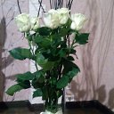 ���� �����, ������ �������� - ��������� 5 ����� 2019