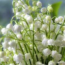 ���� �����, �����-���������, 51 ��� - ��������� 2 ���� 2019 � ������ ���� ����������