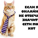 ���� ��������, �����-��������� - ��������� 21 ������ 2019 � ������ ������ ��������