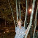 ���� ������, ��������, 62 ���� - ��������� 11 ������ 2019 � ������ ���� ����������