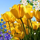 ���� ��������, �����, 53 ���� - ��������� 24 ������� 2019 � ������ ���� ����������