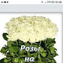 ���� �), ���� - ��������� 2 ��� 2019 � ������ ������ ��������