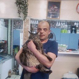 ���������, ������ ��������, 43 ����