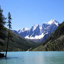  , -, 64  -  4  2019    ,  