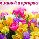 ���� �������, ���� - ��������� 16 ������ 2019 � ������ ���� ����������