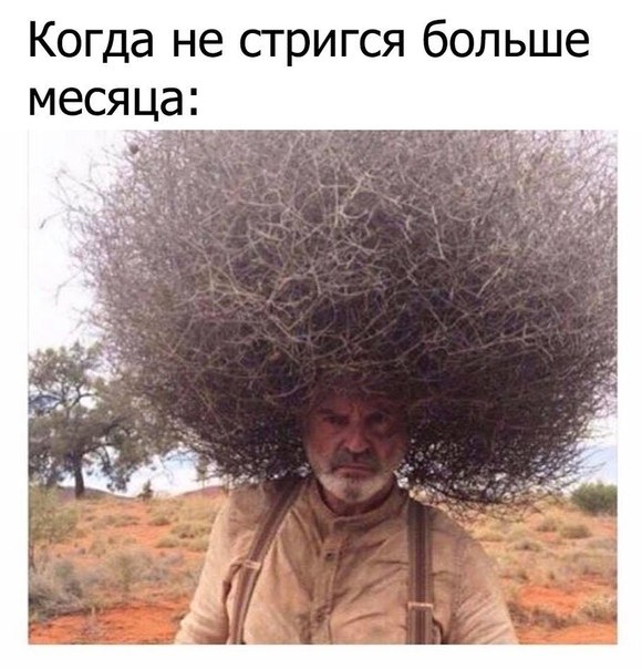 ☆ ☆ - 1  2019  03:53