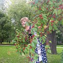 ���� �������, ����� - ��������� 28 ������� 2019 � ������ ���� ����������