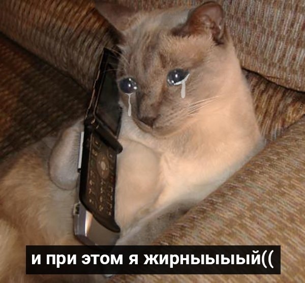       - 6