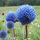 ���� ��������� 1, ����������, 59 ��� - ��������� 13 ���� 2019 � ������ ���� ����������