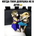 ���� ����, ������, 37 ��� - ��������� 16 ������� 2019