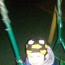 ���� ����, ������, 32 ���� - ��������� 1 ������� 2019 � ������ ���� ����������