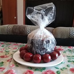 ���� ��������, ������, 67 ��� - ��������� 28 ������ 2019