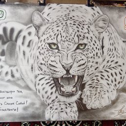 �����, ������, 47 ���