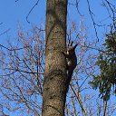 ���� ����, �����������, 50 ��� - ��������� 6 ������ 2019 � ������ ������������� ���