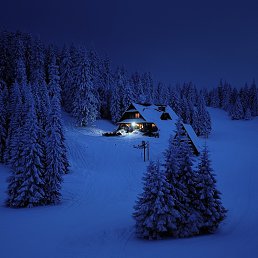 ������ ������������, ���������, 50 ���