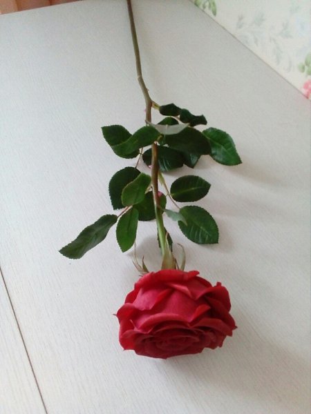 Cдeлaлa рoзы из хoлoднoгo фaрфoрa Oцeнитe, ecли нe cлoжнo - 6