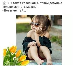 ���� �����, �����-���������, 49 ��� - ��������� 9 ��� 2019
