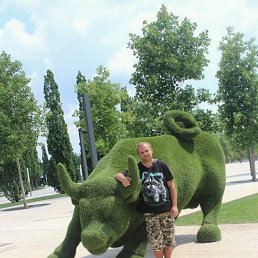 ���� ������, ������, 42 ���� - ��������� 15 ������� 2019