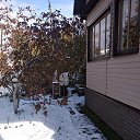  , -, 62  -  13  2019   