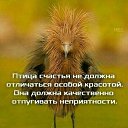 ���� �������, ������, 61 ��� - ��������� 15 ������� 2019