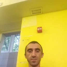 Genrix, ������, 38 ���