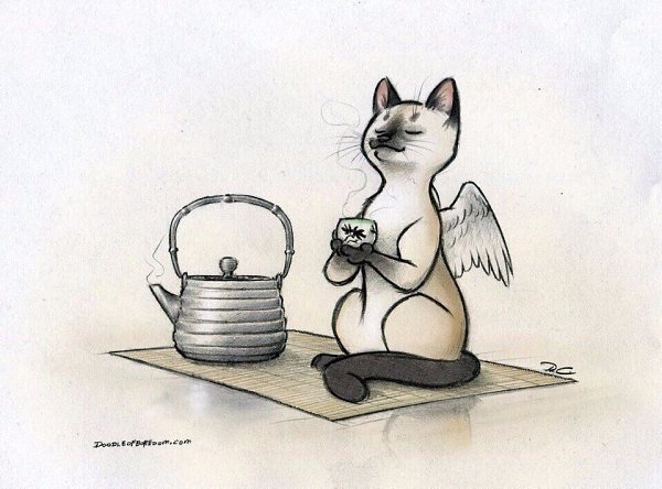 - Я не знаю, с чего начать. - С кофе. Всегда начинайте с кофе. - 2