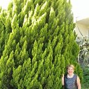 ���� �������, ����, 70 ��� - ��������� 19 ������ 2019 � ������ ���� ����������