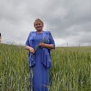 ���� ��������, ����� - ��������� 11 ������ 2019 � ������ ���� ����������