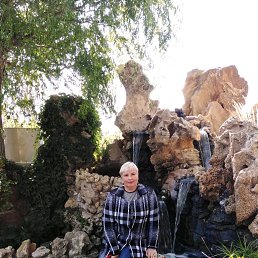 ���� ���������, ������, 52 ���� - ��������� 5 ������� 2019