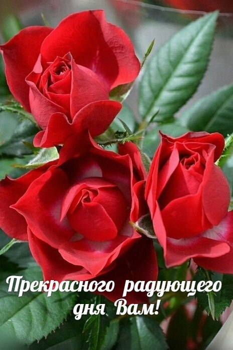   ,    . - 19  2019  21:29 - 2