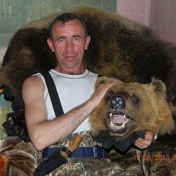 �����, ��������