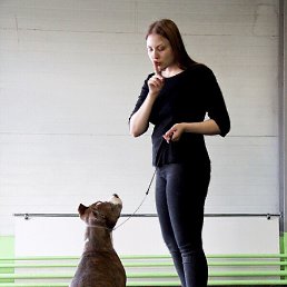 ���� ������, ������, 25 ��� - ��������� 28 ������� 2019