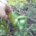 ���� �����, ���������, 51 ��� - ��������� 7 ������� 2019 � ������ �������� �������..�