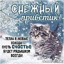 ���� ���, ��������, 56 ��� - ��������� 15 ������� 2019