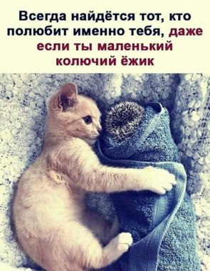 И потому, что мы любимы, потому, что с нами случилось это чудо: что кто-то в нас увидел не дурное, а ...