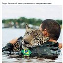 ���� ��������� ��������, ������, 62 ���� - ��������� 8 ������� 2019 � ������ ���� ����������