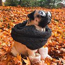 ���� �����, �����������, 35 ��� - ��������� 11 ���� 2019 � ������ ���� ����������