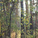 ���� ��������, ���������, 65 ��� - ��������� 23 ������ 2019 � ������ ���� ����������