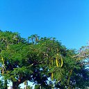 ���� ���������, �����-���������, 42 ���� - ��������� 3 ������� 2019 � ������ ���� ����������