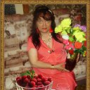 ���� �������, ������ ��������, 67 ��� - ��������� 22 ���� 2019 � ������ ������ ����� ���ۻ