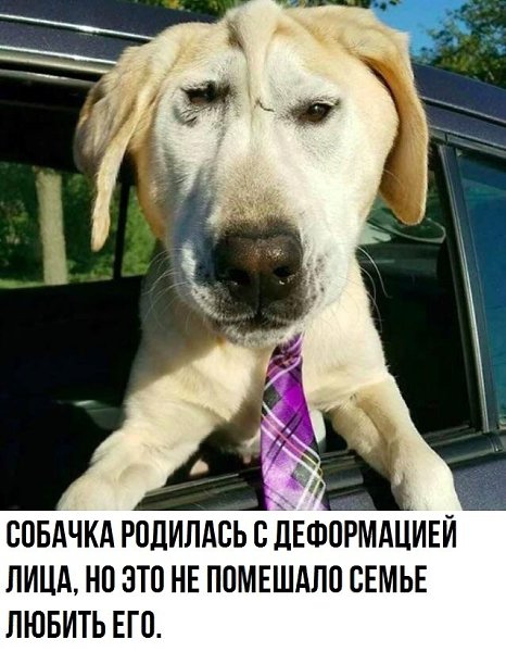   - 1  2019  03:34