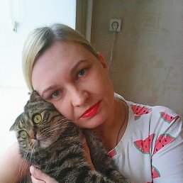 ���� ��������, ������, 47 ��� - ��������� 20 ���� 2019