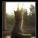 ����� �� ������� ���� ����������