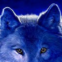 ���� �������, �����, 48 ��� - ��������� 1 ���� 2019 � ������ ���� ����������