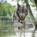 ���� �����, ����� - ��������� 19 ���� 2019 � ������ ���� ����������