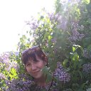 ���� �������, ��������, 50 ��� - ��������� 13 ��� 2019 � ������ ���� ����������