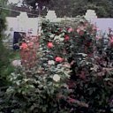 ���� ����, ������ �����, 55 ��� - ��������� 4 ������� 2019